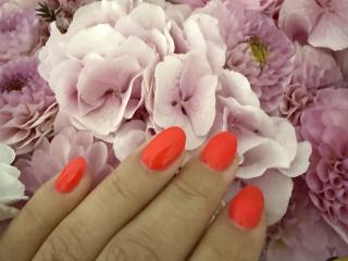 Vis detaljert sammendrag1 Stefanni