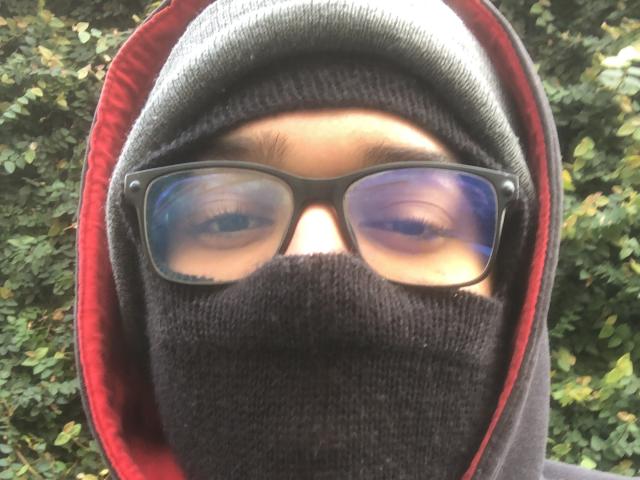 BremalisMan has glasses, a black face mask, and a gray hood, with his eyes peering through. He's wearing a black knit mask and a red-lined hood.