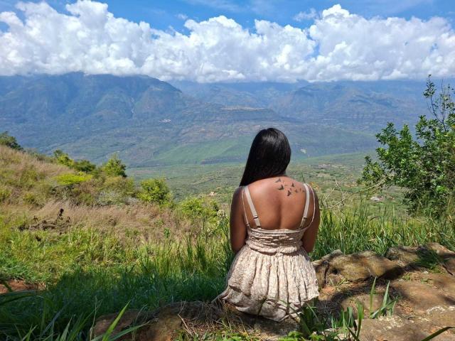 KatherinLatin with long black hair, back to camera, wearing a lace dress, showing a small tattoo on her upper back, sitting on a rocky hill, looking at mountains.