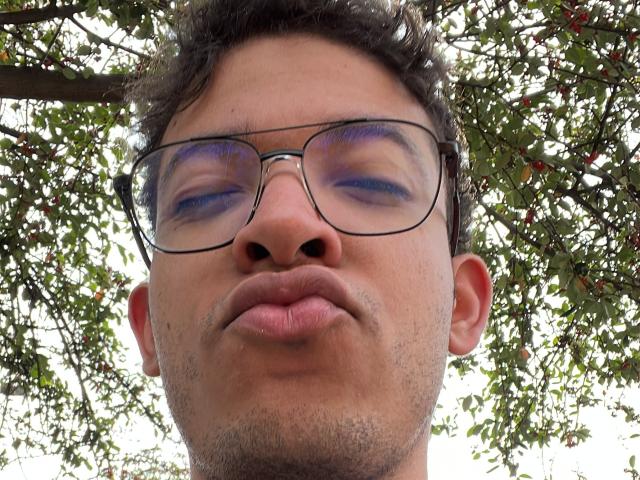 MiloJhones with puffy lips, wearing glasses, has a slight beard and mustache, and curly brown hair, under a tree with green leaves. His nose is centered.