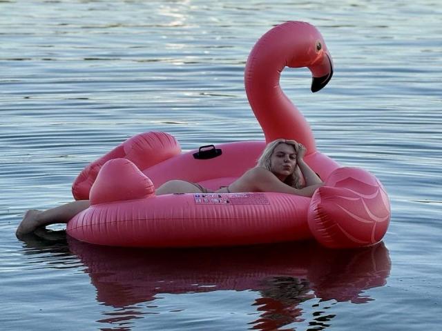 Rosallia is lying on a bright pink inflatable flamingo float in a calm water body. She has blonde hair and is partially nude, with her head resting on her hand. The flamingo float has a large, curved neck and black beak, with Rosallia's body positioned in the center. Her legs are visible, with one slightly above the float's surface. The water reflects the pink of the float, creating a mirrored effect. Rosallia's relaxed posture contrasts with the float's vibrant color. The image focuses on the contrast between Rosallia's pale skin and the pink float.
