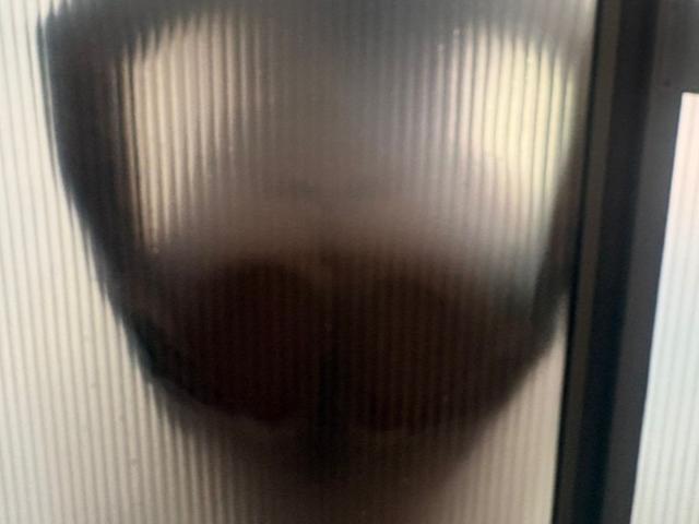 A blurry, close-up image of a person's face through a frosted glass panel. The face is partially visible with a large, dark brown nose and a slightly open mouth. The frosted texture creates vertical lines that obscure details. TessaMagic's face is indistinct due to the foggy glass. The image has a soft, muted color palette with a mix of beige and brown tones. The focus is on the texture of the glass and the partial visibility of the face.