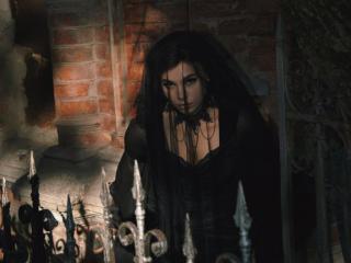 Ver la ficha detallada de Niferttiti