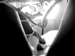 Ver a ficha detalhada de  YaseminSaf