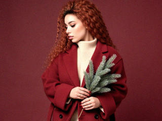 Ver a ficha detalhada de  Niferttiti