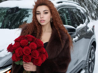 Ver la ficha detallada de Niferttiti