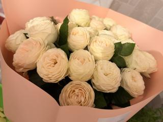 Ver la ficha detallada de Dooris