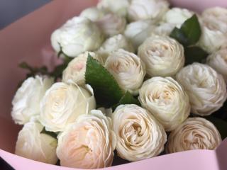 Ver la ficha detallada de Dooris