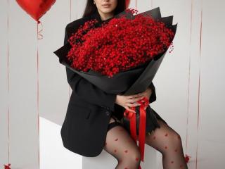 Detaillierten Steckbrief von Strogoff ansehen