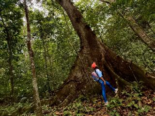 查看SaraleePoison的详细信息