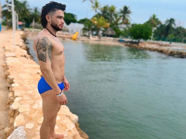 TattooMan stands in profile, wearing blue speedo, showing a toned ass and tattooed arm, with short curly hair and beard, looking at the water, hands by his sides.