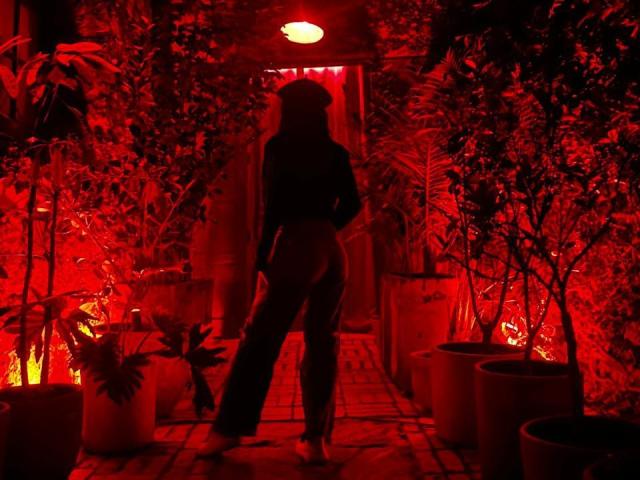 AnyuWu - Camera khiêu dâm &amp; quyến rũ trực tiếp - 28810349