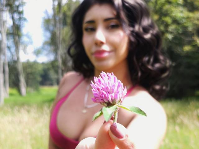 YennettSphinx with curly black hair, pink bra, and cleavage, holding a pink flower, focused on the flower, blurry background, sunlit green field.