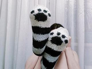 Ver a ficha detalhada de WollyMolly