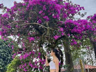 Ver a ficha detalhada de KimmyK