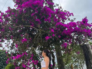 Ver la ficha detallada de KimmyK