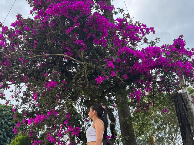 KimmyK - Live porn &amp; sex cam - 28851500