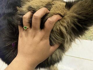 Xem hồ sơ đầy đủ của SophieSonyas