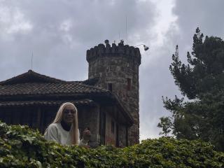 Ver la ficha detallada de AylaCallowey