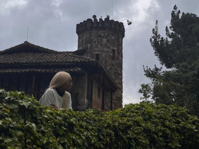 AylaCallowey with long blonde hair, white top, standing in front of a stone castle with a tower, green hedge in foreground, cloudy sky, tall tree on right.
