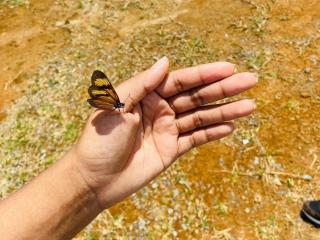 NatalyBlonder'in detaylı sayfasını gör