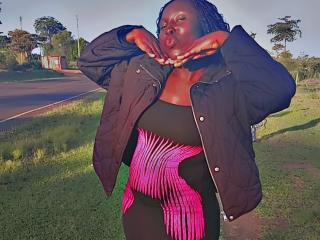 SweetP'in detaylı sayfasını gör