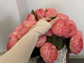 Ver la ficha detallada de Diantrisy