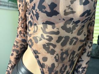 Ver la ficha detallada de Stefanni