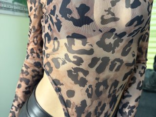 Ver la ficha detallada de Stefanni