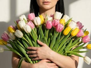 Ver la ficha detallada de Limina