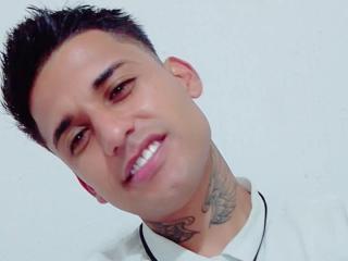 Ver la ficha detallada de Alviin