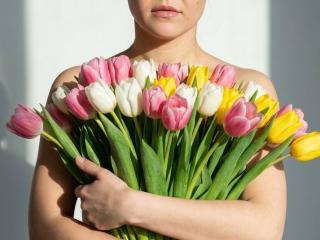 Δείτε την λεπτομερή καρτέλα του Anshante