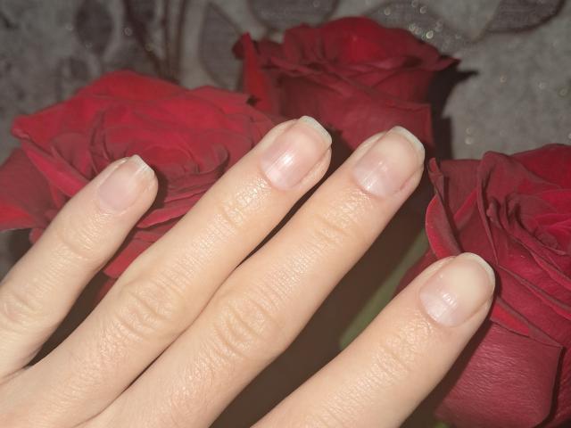 Close-up of Amberia's hand with neatly manicured, glossy nails resting on vibrant red roses. The fingers are spread slightly, highlighting the smooth texture and pale skin against the rich red petals.