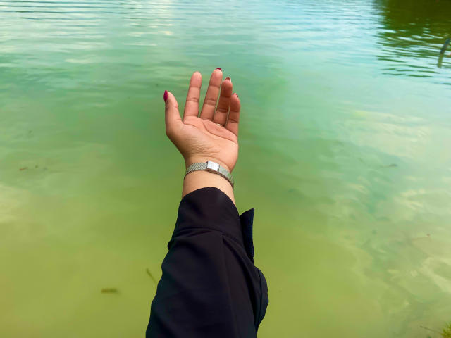 SophieSonyas - Live porn &amp; sex cam - 29043902