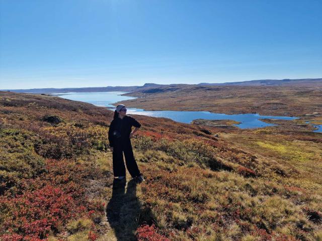 Ameliiex stands on a grassy hill, silhouetted against a bright blue sky, with a large, shadowed outline. Wearing dark clothing, they gaze at a distant landscape with lakes and marshes.
