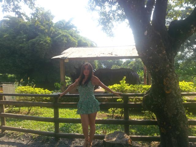 HotLatinaMaria - Live sex cam - 2909755