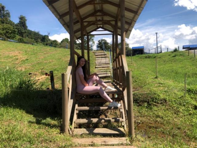 MilaHans, nude, sitting on wooden steps under a rustic shelter, legs spread, cock visible, sunlit grassy field, blue sky, white clouds, trees in background, summer, relaxed, erotic tension.