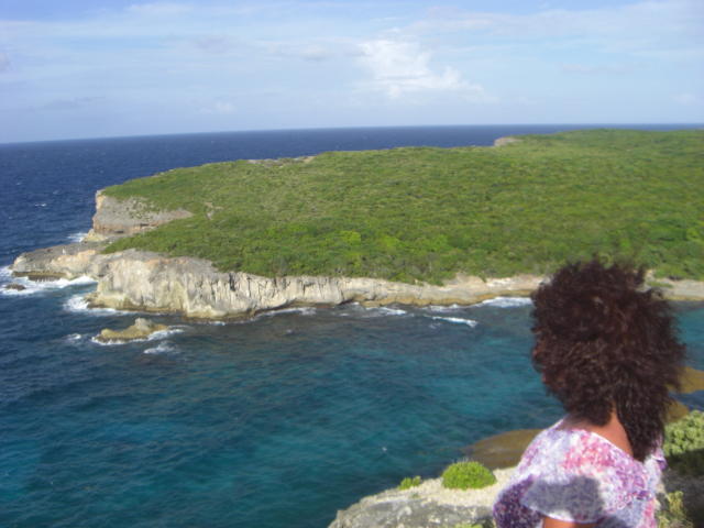 Photograph of DeesseBleue with dark curly hair, wearing a pink and white patterned shirt, facing a lush green cliff with white-crested waves crashing into the deep blue ocean. Sunlit sky.