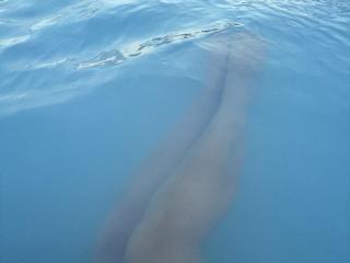 Ver a ficha detalhada de  Sambucka