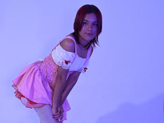 Ver a ficha detalhada de  NikkyDoll