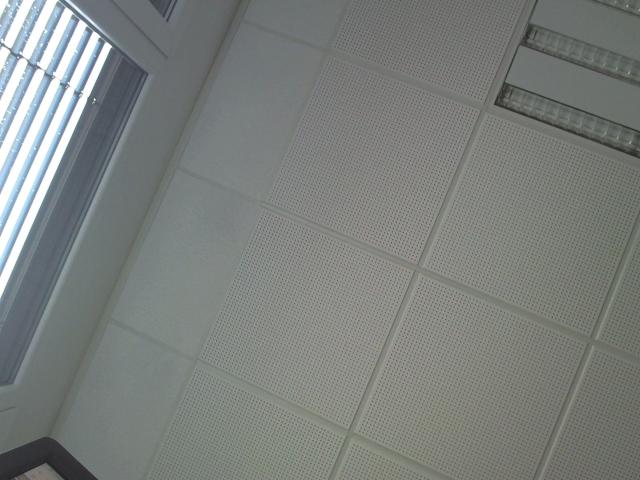 Primer plano de un techo blanco con paneles perforados, que muestra una luminaria fluorescente rectangular en el lado derecho. Ventana vertical con persianas a la izquierda, que deja entrar luz. Techo de oficina increíblemente aburrido..