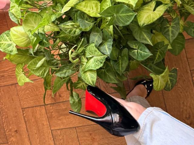 Photograph of a close-up view of KaiaLein's foot in a black stiletto with red sole, resting on a wooden floor near green leafy plant. KaiaLein's white dress is slightly visible.