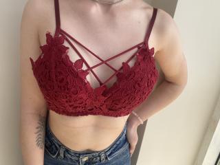 Steisii에 대한 상세사항 보기