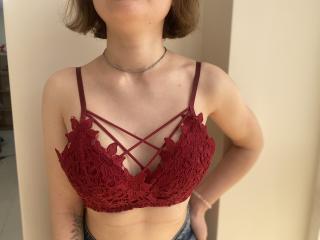 Steisii에 대한 상세사항 보기