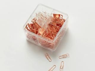 GlamVision-hot's Model Profile