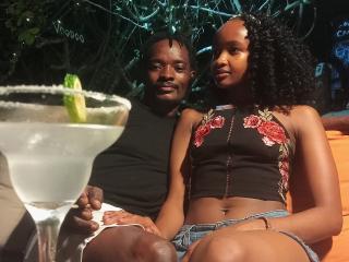 Ver la ficha detallada de HoneyBadgers