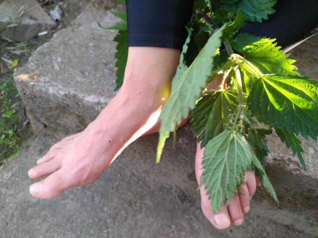 GeileFuesseHaare-hot's hand holds a cluster of green leaves. Their right foot is visible, slightly elevated, with a small red mark on the sole. Sunlight illuminates the leaves and their hand, casting shadows on the rough stone surface. The leaves are detailed with visible veins. The background is blurred, focusing on the hand, leaves, and foot. The skin tone is light, and the black sleeve contrasts with the green leaves. Natural light enhances the textures.