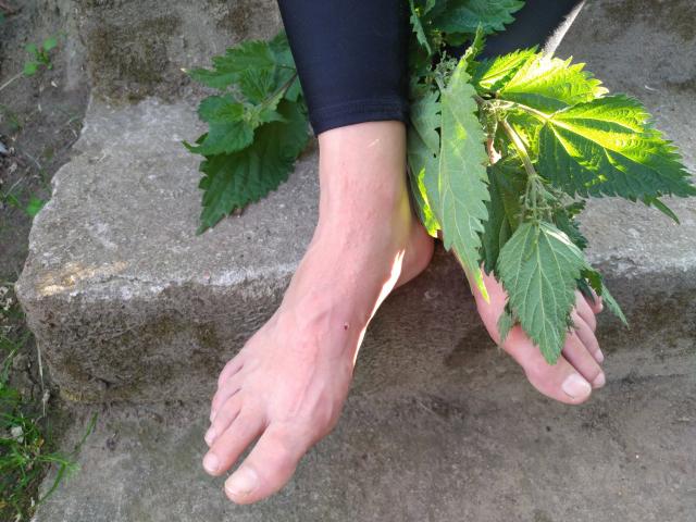 A close-up of GeileFuesseHaare-hot's feet resting on a stone step. Their bare feet, with slightly dirty soles, are slightly apart. Green leaves with jagged edges are draped over their feet. The feet are light-skinned with visible veins. They wear black, form-fitting leggings. The stone step has a rough texture, and there's a small patch of grass to the left. Bright sunlight casts sharp shadows, highlighting the leaves' texture and the feet's details.