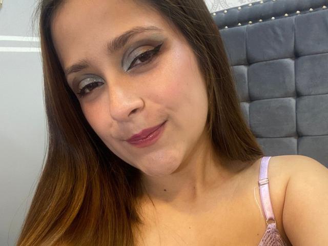 Digital illustration of a bold, stylized coat of arms with a large, central red "V" on a dark background. Simple, geometric lines and flat colors. Minimalistic, modern design.