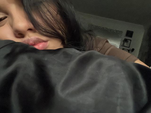 Digital art of a minimalistic, flat-style coat of arms with a small, red, flame-like element at the bottom right. Simple, bold colors, geometric shapes. No text or watermarks.